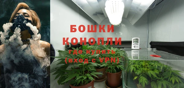 шишки Семилуки