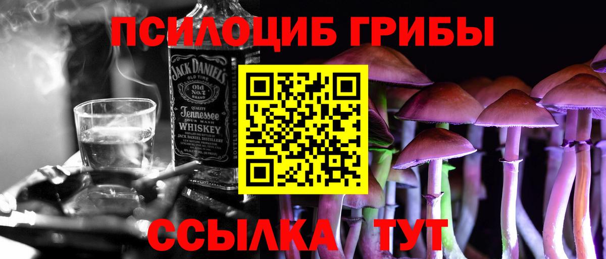 Боровичи  Псилоцибиновые грибы MAGIC MUSHROOMS  Вход с VPN 